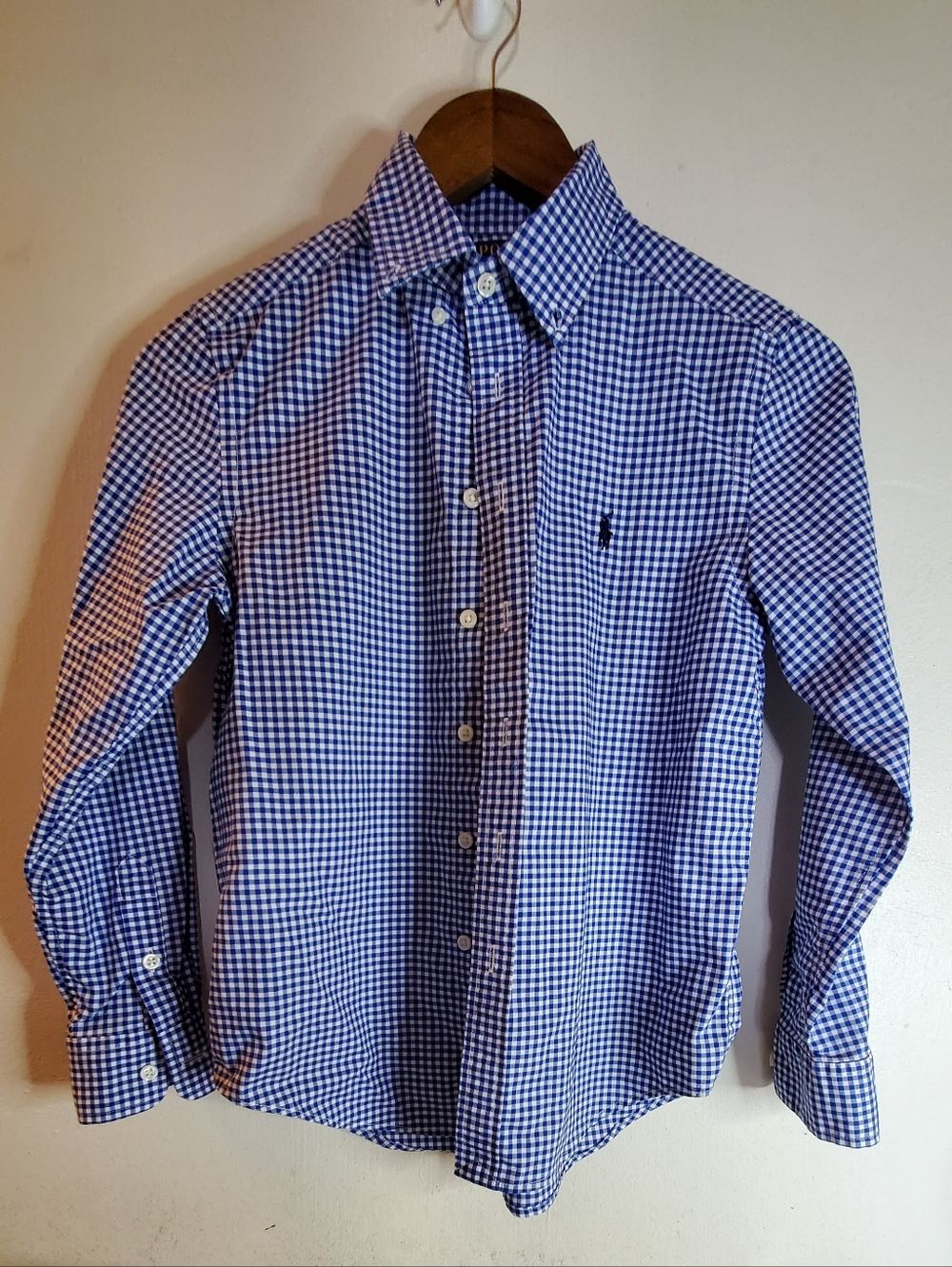 Polo by Ralph Lauren Blue Gingham Button-Down Shirt